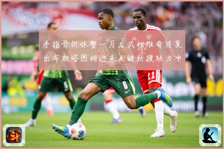手指骨折休整一月后武切维奇将复出布朗塔图姆迎来关键新援助力冲成长观察-深度解析