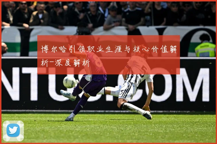 博尔哈引领职业生涯与核心价值解析-深度解析