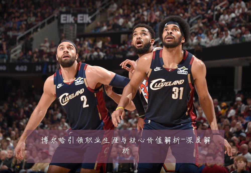 博尔哈引领职业生涯与核心价值解析-深度解析