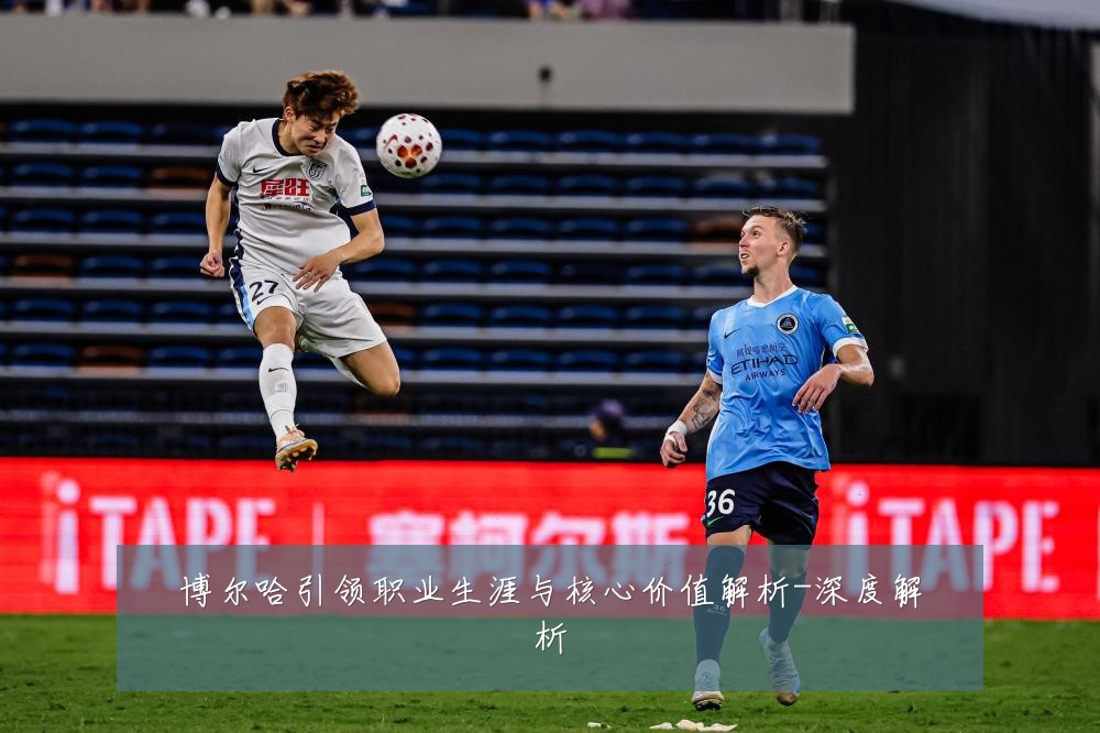 博尔哈引领职业生涯与核心价值解析-深度解析
